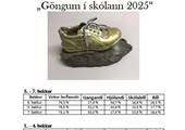 gongum i skolan 25.jpg (74101 bytes)